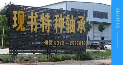 安陽(yáng)市現(xiàn)書特種軸承有限公司